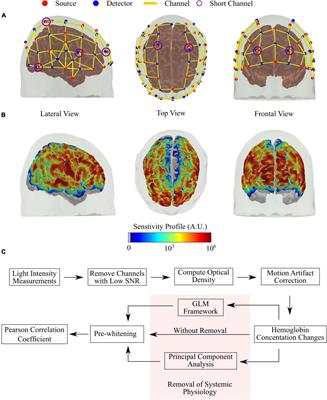 Effects of Systemic Physiology on Mapping Resting-State Networks Using Functional Near-Infrared Spectroscopy